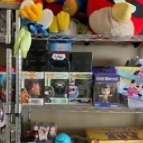 Meet your Posher, Rolando - Picture 1 of 1